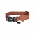Coleira Para Pets Fecho Click Estilo e Conforto Up4You Vivid Style Marrom - GENTEdePATAS