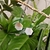 VOCÊ PODE Bijuterias Brinco Feminino Madrepérola Branco Verde - comprar online