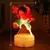 Luffy Zoro Anime Figuras LED Night Light, Lâmpada 3D, PVC Action Collection Mod na internet