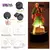 Luffy Zoro Anime Figuras LED Night Light, Lâmpada 3D, PVC Action Collection Mod