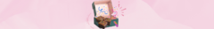 Banner de la categoría Sorpresas Dulces