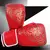 Imagem do Luvas de Boxe