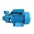 Bomba Periferica 1/2 QB-60 Gamma G2773AR en internet