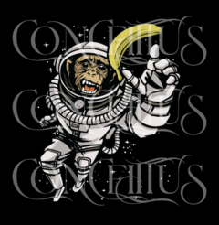 Chimpanzé Astronauta - CONCEITTUS