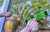Limpa Vidros Unger Vice Versa Pro Completo 25cm 2 Em 1 VV250 - loja online