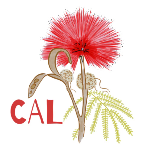 Cal Flor do Cerrado