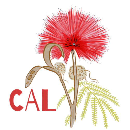 Cal Flor do Cerrado