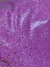 Laca glamour glitter - Fabrica de Pinturas