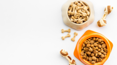 Banner de la categoría Alimentos Balanceados
