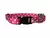 COLLARES REGULABLES - La Pulga Pet Shop