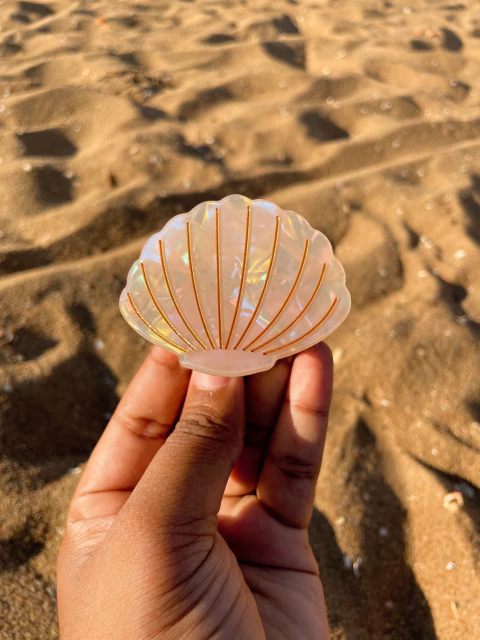 Pregadeira de concha acetato