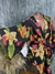 Conjunto kimono - Use Belle