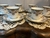 Tazas de Té Noritake (Precio x unidad)