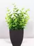 Planta Falsa, Pote Preto, Decoração - Mura