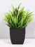 Planta Falsa, Pote Preto, Decoração na internet