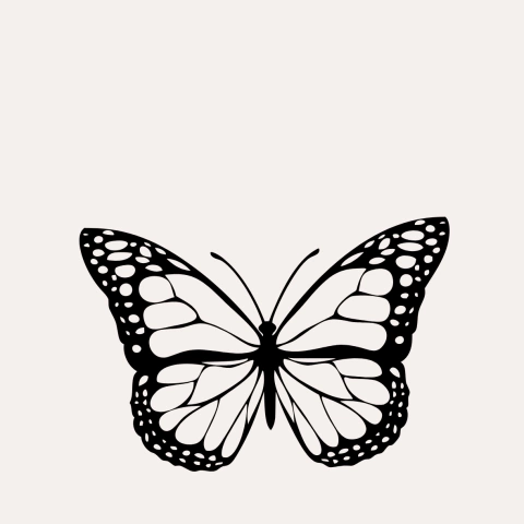 Descubra as melhores tendências do mercado