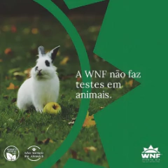 Óleo Essencial Citronela WNF - 5ml na internet