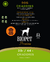 Biopet Premium Perro Adulto 20kg - comprar online