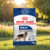 Royal Canin Maxi Adulto x 15 Kg