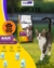 VITALCAN Complete Gato Adulto x 1 Kg - comprar online