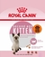 Royal Canin Kitten x 7,5 kg - comprar online