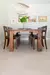 COMPACT NEUTRAL - tienda online