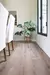 ECOWOOD ROVERE - comprar online