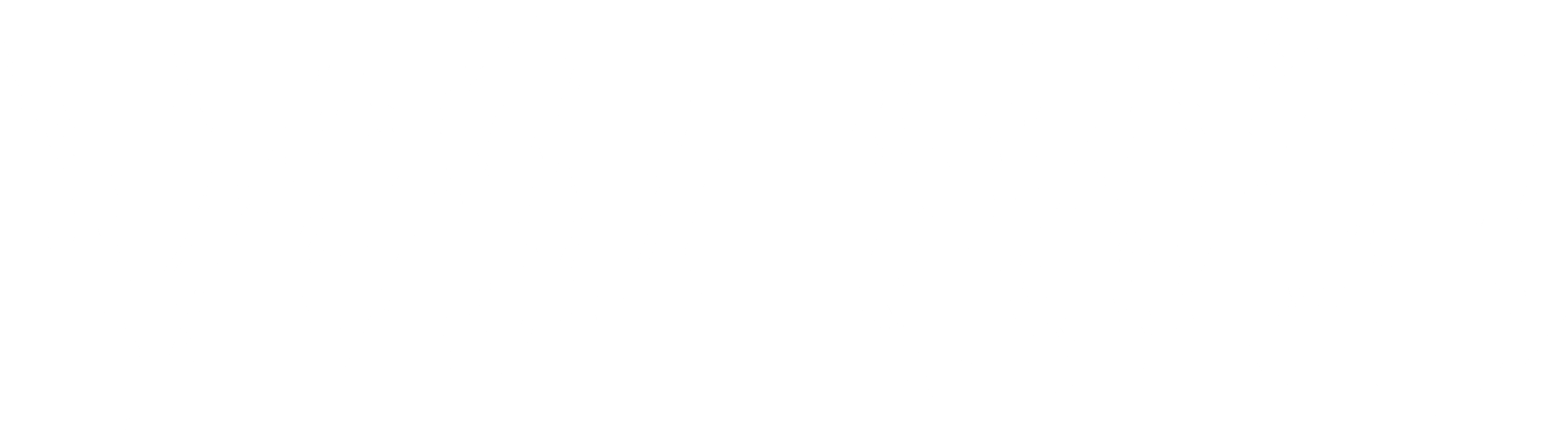 Void Noir