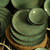 Jogo de Pratos Rasos de Jantar Tunisia Verde 29cm - Alleanza - loja online