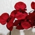 Vaso Arranjo Completo de Orquídea Artificial Vermelha Vidro Incolor - comprar online