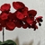 Vaso Arranjo Completo de Orquídea Artificial Vermelha Vidro Incolor na internet
