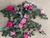Pendente Galhos de Flores Rosas Artificial Para Arranjo Permanente -65cm - comprar online