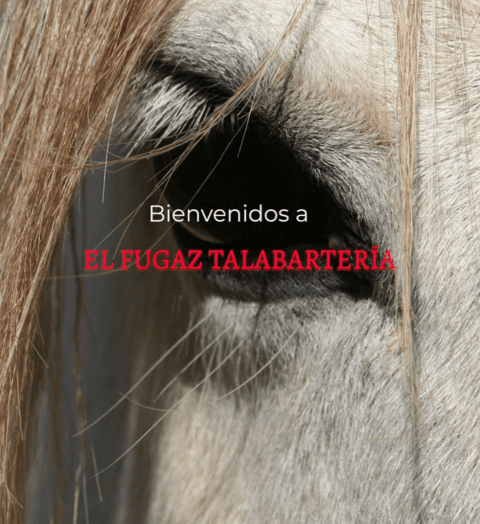 Carrusel 1