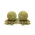 Bolas hierbas gateras - CATNIP - Repuesto x 2 unid.
