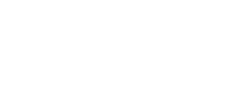 Diss Denim
