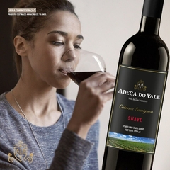 Vinho Fino Tinto Adega do Vale Suave 750ml na internet
