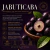 Home Spray 500ml - Jabuticaba - comprar online