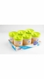Set de Frascos X6 - 1624 - comprar online