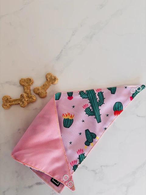 Bandana “Cactus Pop”