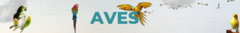 Banner da categoria Aves