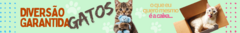 Banner da categoria Gatos