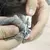 Cortador de Unhas Profissional para Animais de Estimação - Cão e Gato em Aço Inoxidável