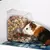 Alimente Seu Pet de Forma Prática e Eficiente com o Dispensador de Comida Automático para Hamster e Coelho ???? - PetPituxa Store
