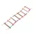 Escadas de Escalada para Pássaros – Brinquedo para Pendurar Bolas Colori - PetPituxa Store