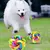 Imagem do Treinamento de Borracha Cor Bola de Mastigação – Filhote de Cachorro e Gat