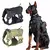 Conjunto de Arnês e Trela Militar para Cães Grandes – Segurança, Conforto e Estilo para seu Pet!