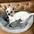 Cama Macia e Quente para Cães – Conforto e Aconchego para Seu Pet ? - loja online