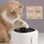 Imagem do Dispensador de água Inteligente Para Animais de Estimação, água Circulante,