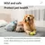 Desodorante Pet Spray – Neutralize Odores e Proporcione Frescor ao Seu Pet!