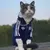 Imagem do Roupa para gatos, marca de moda Pet, outono e inverno